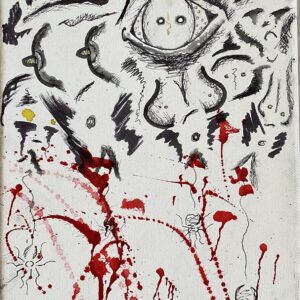 Blood Red Spider Silk Art