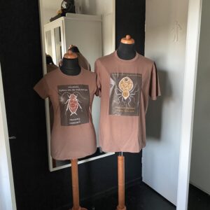 Brown/bruin Chocolaty Cockroach