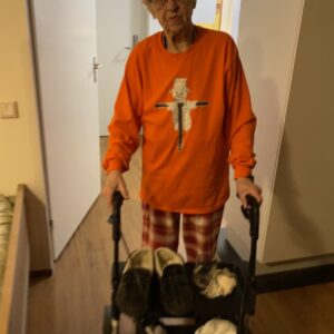 Orange Tedious Scarecrow